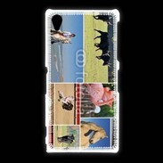 Coque Sony Xpéria Z1 Beauté de la camargue