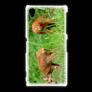 Coque Sony Xpéria Z1 Chevreuil PB 1