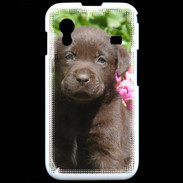 Coque Samsung ACE S5830 Chien labrador chocolat 3