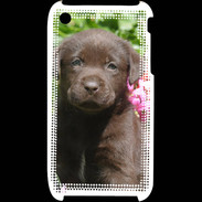 Coque iPhone 3G / 3GS Chien labrador chocolat 3