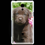 Coque Sony Xperia T Chien labrador chocolat 3