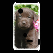 Coque Sony Xperia Typo Chien labrador chocolat 3
