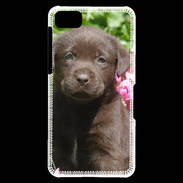 Coque Blackberry Z10 Chien labrador chocolat 3