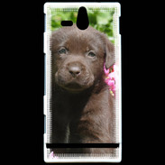 Coque Sony Xperia U Chien labrador chocolat 3
