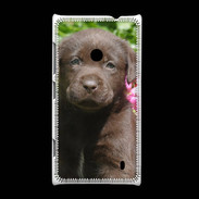 Coque Nokia Lumia 520 Chien labrador chocolat 3