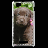 Coque Sony Xperia M Chien labrador chocolat 3