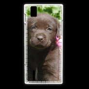 Coque Huawei Ascend P2 Chien labrador chocolat 3