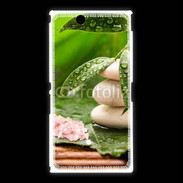 Coque Sony Xpéria Z Ultra Galet et feuilles mouillées