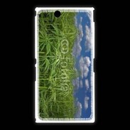 Coque Sony Xpéria Z Ultra Champs de cannabis