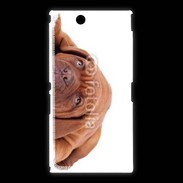 Coque Sony Xpéria Z Ultra Mastiff marron