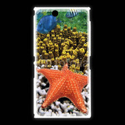 Coque Sony Xpéria Z Ultra Etoile de mer