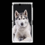 Coque Sony Xpéria Z Ultra Chien Husky de Sibérie
