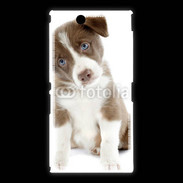Coque Sony Xpéria Z Ultra Chiot Colley marron et blanc
