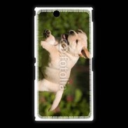 Coque Sony Xpéria Z Ultra Chiot labrador 3