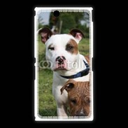 Coque Sony Xpéria Z Ultra Chien Staffordshire