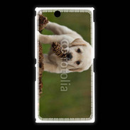 Coque Sony Xpéria Z Ultra Chiot labrador avec pomme de pin