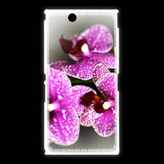 Coque Sony Xpéria Z Ultra Belle Orchidée PR