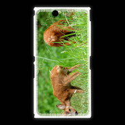 Coque Sony Xpéria Z Ultra Chevreuil PB 1