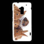 Coque HTC One Max Gardien de lapins