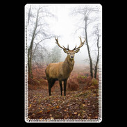 Etui carte bancaire Cerf