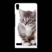 Coque Huawei Ascend P6 chaton gris 4