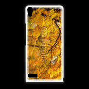 Coque Huawei Ascend P6 Arbres en automne