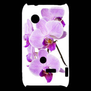Coque Sony Xperia Typo Orchidée violette