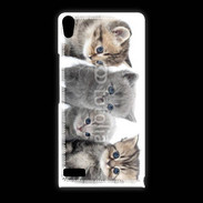 Coque Huawei Ascend P6 Groupe de chatons