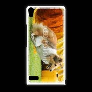 Coque Huawei Ascend P6 Agility Colley