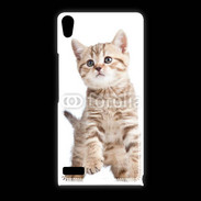 Coque Huawei Ascend P6 Adorable chaton 7