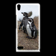 Coque Huawei Ascend P6 2 pingouins