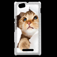 Coque Sony Xperia M Chaton caché