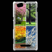Coque Sony Xperia M Arbres 4 saisons