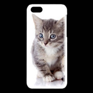 Coque iPhone 5C chaton gris 4