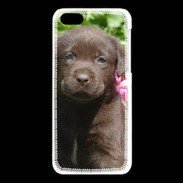 Coque iPhone 5C Chien labrador chocolat 3