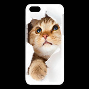 Coque iPhone 5C Chaton caché