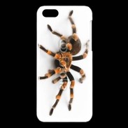 Coque iPhone 5C Araignée tarentule