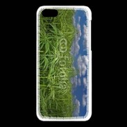 Coque iPhone 5C Champs de cannabis