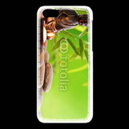 Coque iPhone 5C Bouddha zen