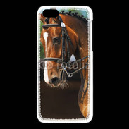Coque iPhone 5C Dressage cheval 1