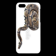 Coque iPhone 5C Python royal