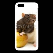 Coque iPhone 5C Rat bicouleur