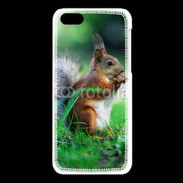 Coque iPhone 5C Ecureuil