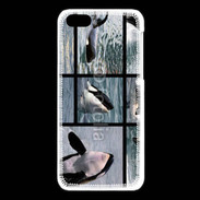 Coque iPhone 5C Orque noir et blanc