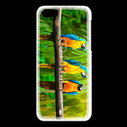 Coque iPhone 5C Trois perroquets bleu et jaune