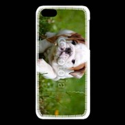 Coque iPhone 5C Chiot bulldog anglais 3