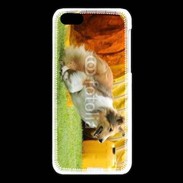 Coque iPhone 5C Agility Colley