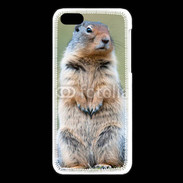 Coque iPhone 5C Marmotte 2