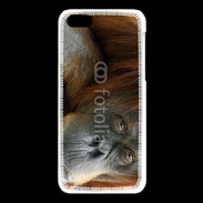 Coque iPhone 5C Portrait de singe