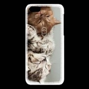 Coque iPhone 5C Sieste de chatons
